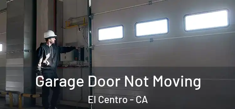  Garage Door Not Moving El Centro - CA